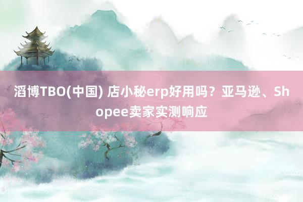 滔博TBO(中国) 店小秘erp好用吗？亚马逊、Shopee卖家实测响应