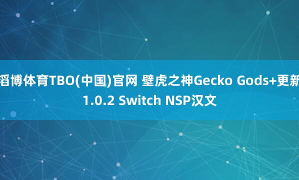 滔博体育TBO(中国)官网 壁虎之神Gecko Gods+更新1.0.2 Switch NSP汉文