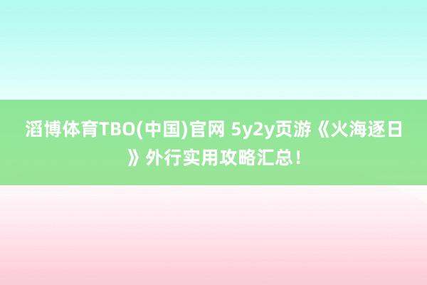 滔博体育TBO(中国)官网 5y2y页游《火海逐日》外行实用攻略汇总！