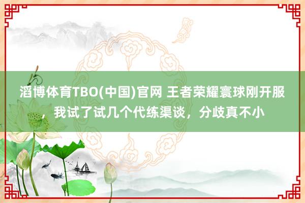 滔博体育TBO(中国)官网 王者荣耀寰球刚开服，我试了试几个代练渠谈，分歧真不小