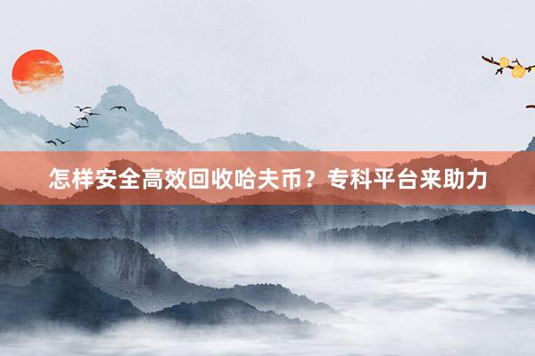 怎样安全高效回收哈夫币？专科平台来助力