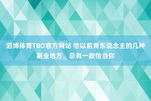 滔博体育TBO官方网站 恰以前青东说念主的几种副业地方，总有一款恰当你