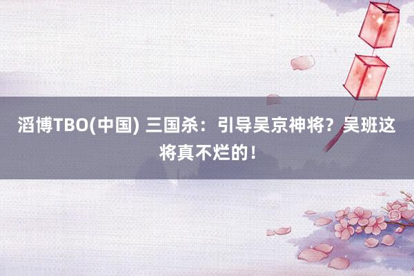 滔博TBO(中国) 三国杀：引导吴京神将？吴班这将真不烂的！