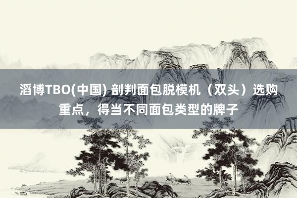 滔博TBO(中国) 剖判面包脱模机（双头）选购重点，得当不同面包类型的牌子