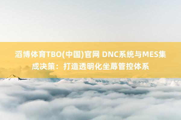 滔博体育TBO(中国)官网 DNC系统与MES集成决策：打造透明化坐蓐管控体系