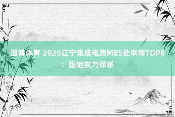 滔博体育 2026辽宁集成电路MES处事商TOP8：腹地实力保举