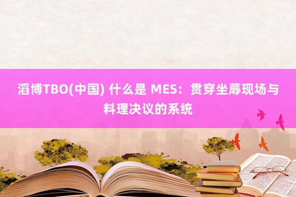 滔博TBO(中国) 什么是 MES：贯穿坐蓐现场与料理决议的系统
