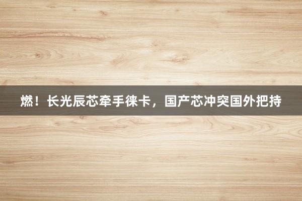 燃！长光辰芯牵手徕卡，国产芯冲突国外把持