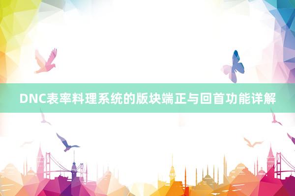 DNC表率料理系统的版块端正与回首功能详解