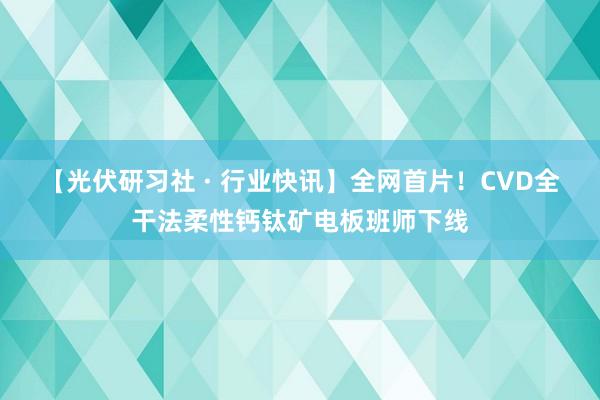 【光伏研习社 · 行业快讯】全网首片！CVD全干法柔性钙钛矿电板班师下线