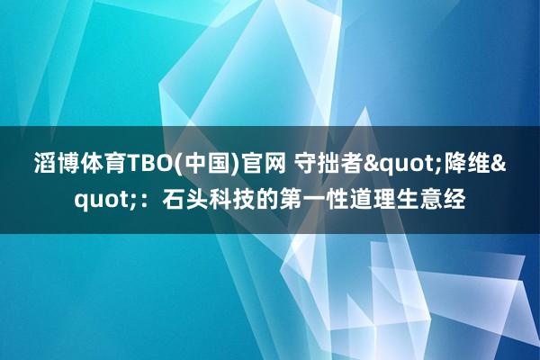 滔博体育TBO(中国)官网 守拙者"降维"：石头科技的第一性道理生意经