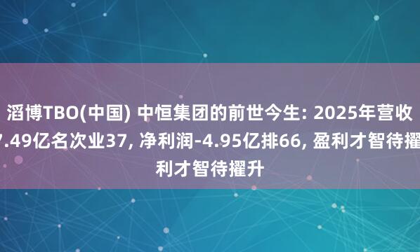 滔博TBO(中国) 中恒集团的前世今生: 2025年营收17.49亿名次业37， 净利润-4.95亿排66， 盈利才智待擢升