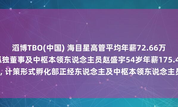 滔博TBO(中国) 海目星高管平均年薪72.66万: 董事长、总司理、非孤独董事及中枢本领东说念主员赵盛宇54岁年薪175.45万最高， 计策形式孵化部正经东说念主及中枢本领东说念主员温燕修43岁年薪60.11万最低