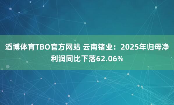 滔博体育TBO官方网站 云南锗业：2025年归母净利润同比下落62.06%