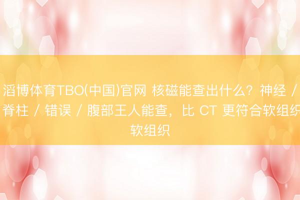 滔博体育TBO(中国)官网 核磁能查出什么？神经 / 脊柱 / 错误 / 腹部王人能查，比 CT 更符合软组织