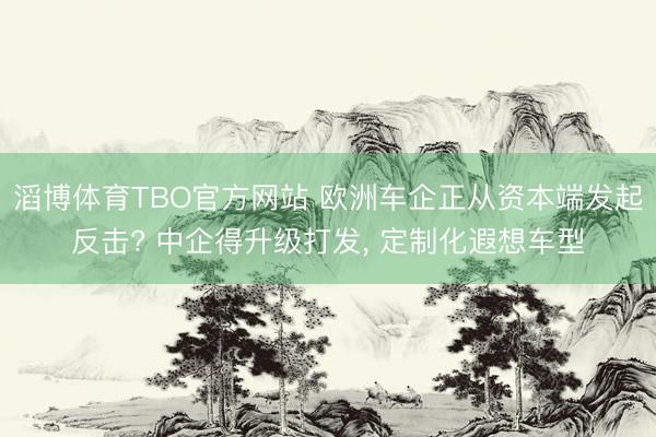 滔博体育TBO官方网站 欧洲车企正从资本端发起反击? 中企得升级打发， 定制化遐想车型
