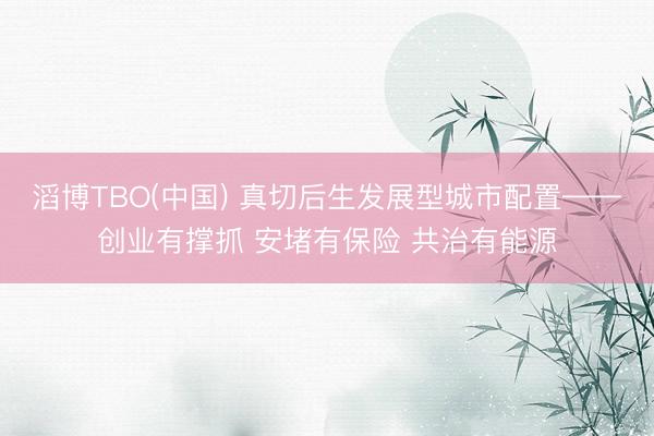 滔博TBO(中国) 真切后生发展型城市配置——创业有撑抓 安堵有保险 共治有能源