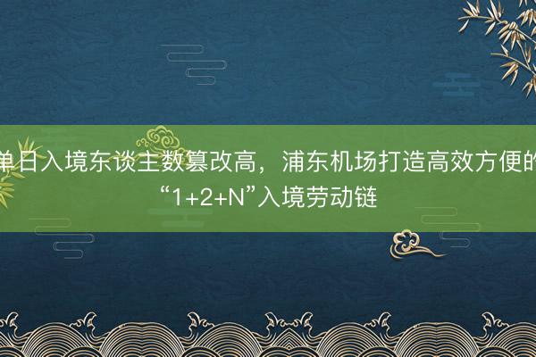 单日入境东谈主数篡改高，浦东机场打造高效方便的“1+2+N”入境劳动链