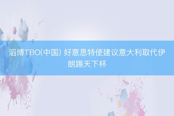 滔博TBO(中国) 好意思特使建议意大利取代伊朗踢天下杯
